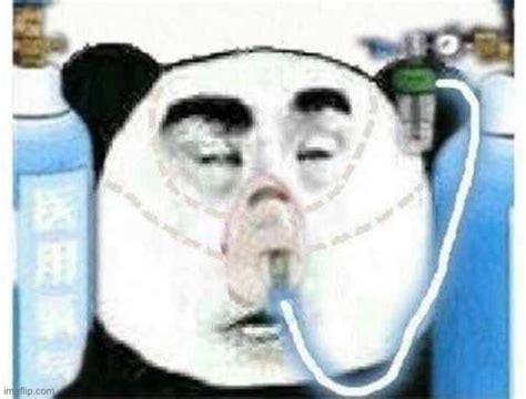 Panda Copium Meme Generator .